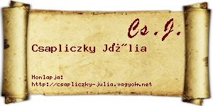 Csapliczky Júlia névjegykártya